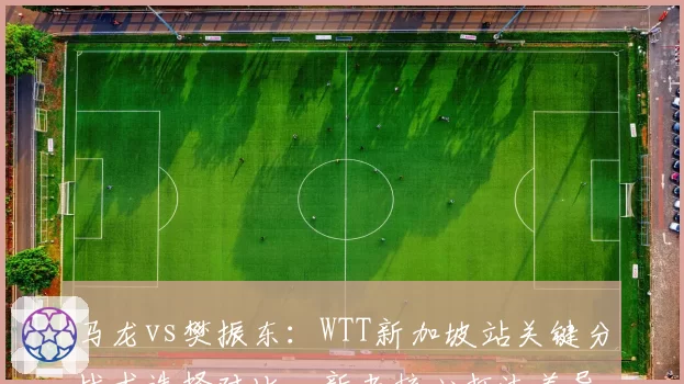 马龙vs樊振东：WTT新加坡站关键分战术选择对比，新老核心打法差异明显